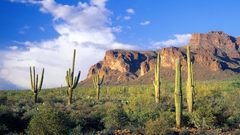Nature landscape sky
