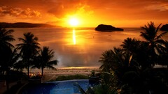 nature landscape sunlight beach palm trees