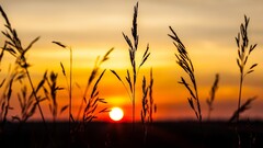 nature landscape sunset sunlight outdoors