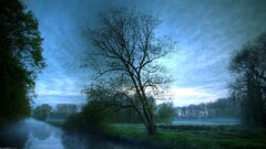 nature landscape Trees mist river clouds sky