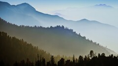 nature landscape Trees Mountains