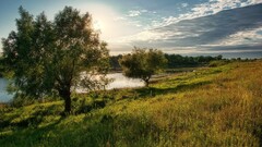 nature landscape Trees river