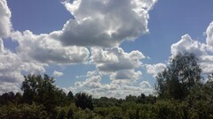 nature landscape Trees summer sky clouds