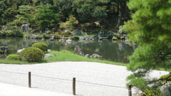 Nature landscape water Trees