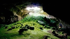 Nature Lava Beds National Monument