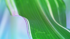 Nature leaves deviantart artwork