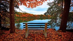 nature leaves Trees Lake bench landscape reflection fall
