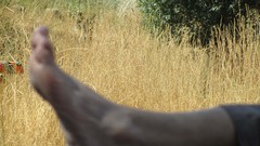 Nature legs jam iran artwork deserts