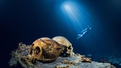 Nature light cave underwater skulls national geographic 
