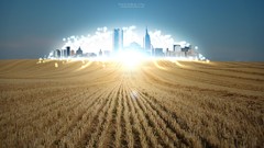 Nature light wheat City Lights fields cityscapes