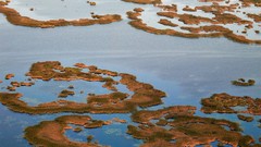 Nature lithuania swamps Baltic states unseen lithuania