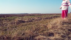 Nature little sister sunlight skyscapes