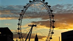 Nature London London Eye ferris wheels