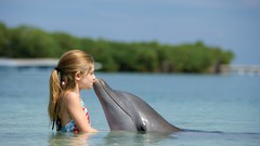 Nature love children Dolphins
