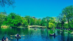 Nature love romance Central Park new york city
