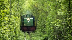 Nature love tunnels trains