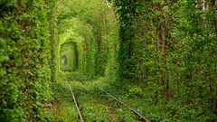 Nature love Ukraine tunnels