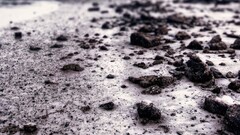 nature macro beach rock outdoors