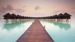 Nature Maldives male boardwalk