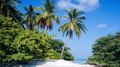 Nature Maldives north tropical