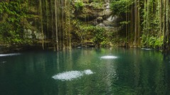 Nature Mexico Yucatan Peninsula