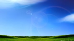 Nature microsoft windows Longhorn