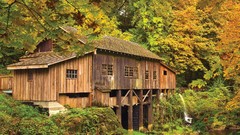 Nature mill Washington vancouver cedar