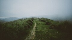 nature mist grass path faded Green muted landscape