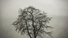 Nature monochrome Photo manipulation digital art