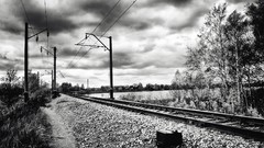 Nature monochrome railroad tracks