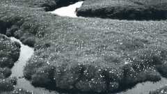 Nature monochrome rivers