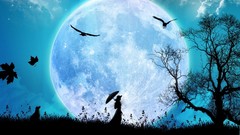 Nature moon silhouettes