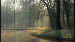 Nature morning Parks