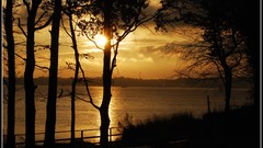 Nature morning Photographers