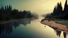 Nature morning yawns