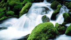 Nature moss Oregon waterfalls rocks streams Mount Jefferson