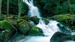 Nature moss waterfalls rocks