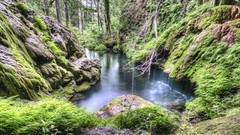 Nature moss waterfalls rocks rivers forests HDR Photography