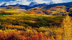 Nature Mountains autumn forests