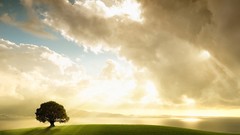 Nature Mountains Beaches enlightenment