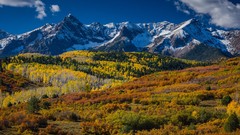 Nature Mountains Colorado Aspen