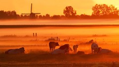 Nature Mountains dutch