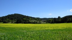Nature Mountains fields