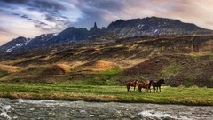 Nature Mountains Horses