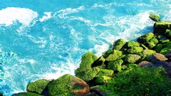 Nature Mountains moss rocks