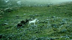 Nature Mountains Norway