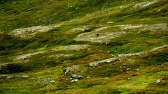 Nature Mountains Norway