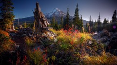 Nature Mountains Paramount