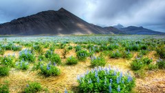 Nature Mountains plains