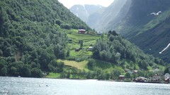 Nature Mountains seagulls